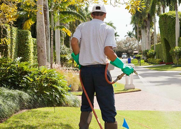 About Olpe KS Pest Control